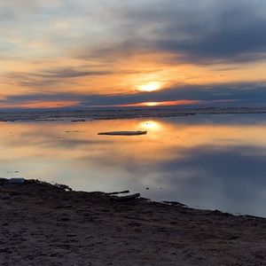 Meet your Posher, Belinda